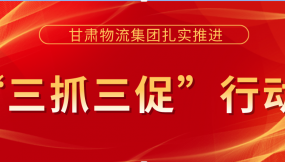  真抓實(shí)干促落實(shí)  踔厲奮發(fā)謀發(fā)展 --甘肅物流集團(tuán)“三抓三促”行動工作綜述